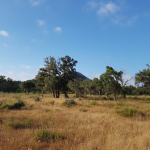 Lancement du blog de madamenliege.fr