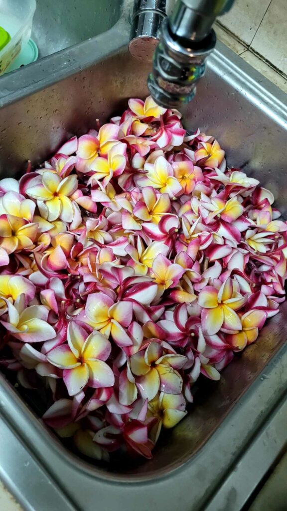 fleurs cueillies pour couronne