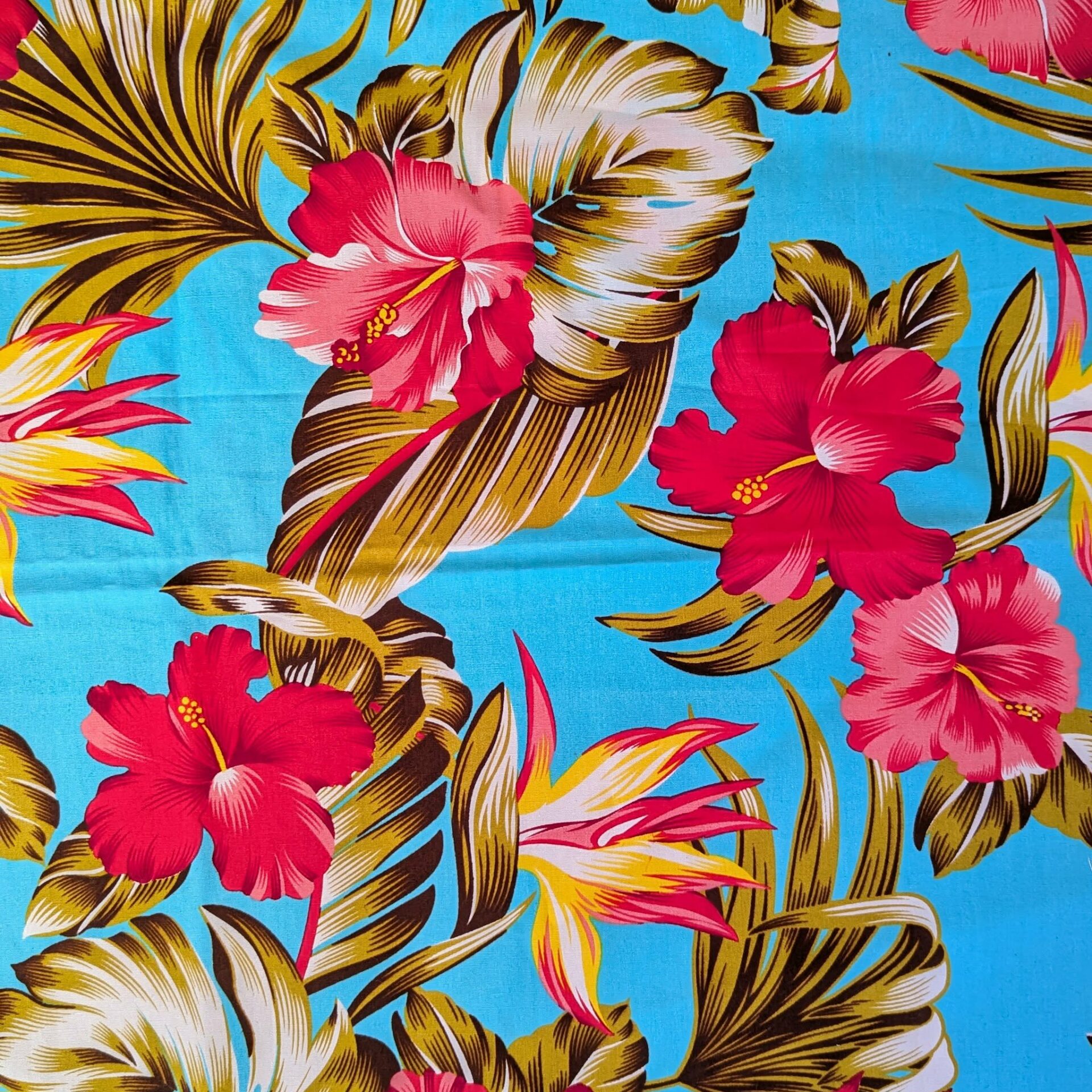 Bleu turquoise hibiscus roses