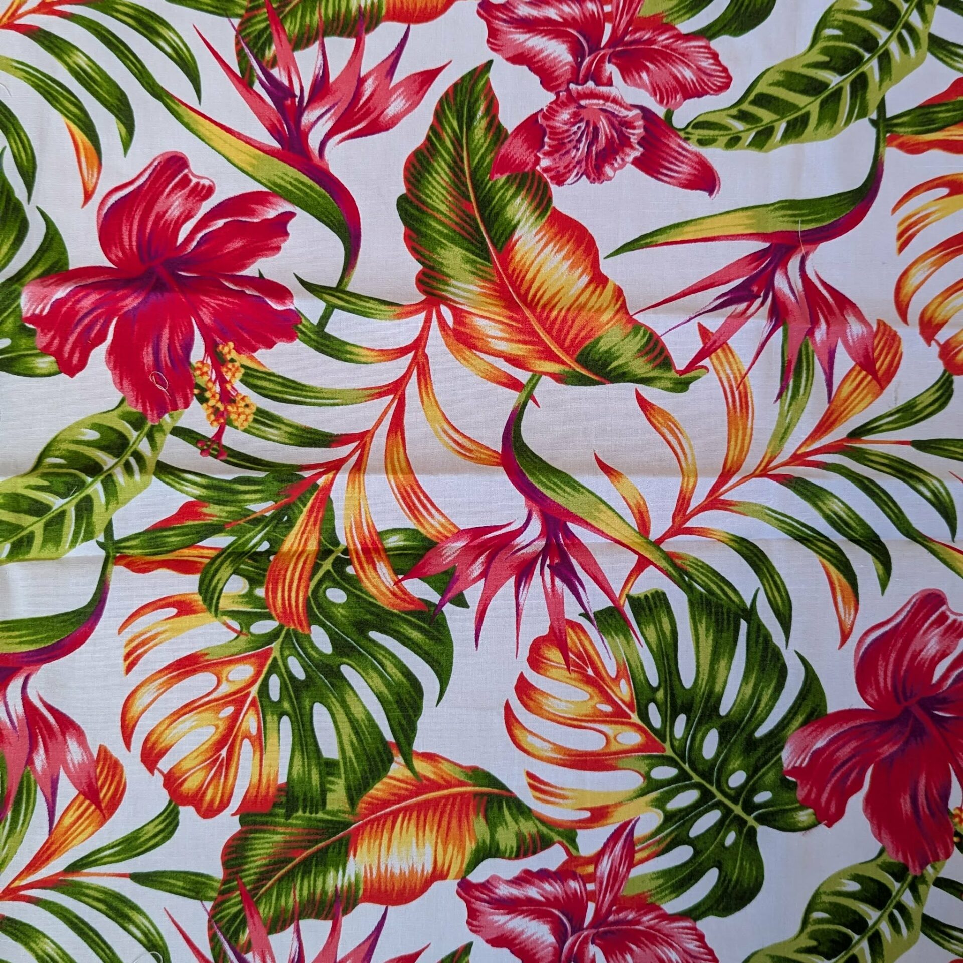 Feuilles orange vert